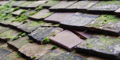 Gaerwen roof repair costs